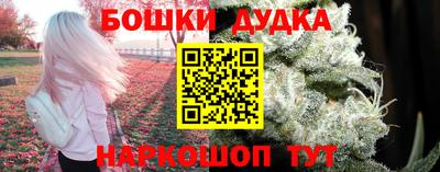 a pvp Краснознаменск