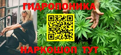 a pvp Краснознаменск